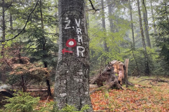 02-torek-005