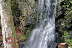03-sreda-064