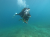 DCIM\100GOPRO\GOPR3174.JPG