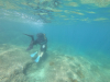 DCIM\100GOPRO\GOPR3232.JPG